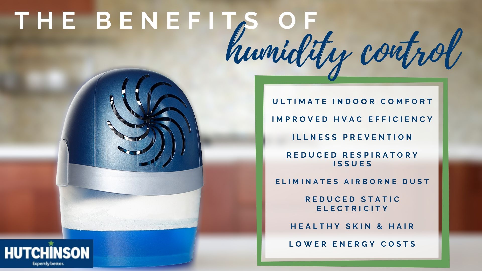 How to Combat High Humidity Levels this Summer