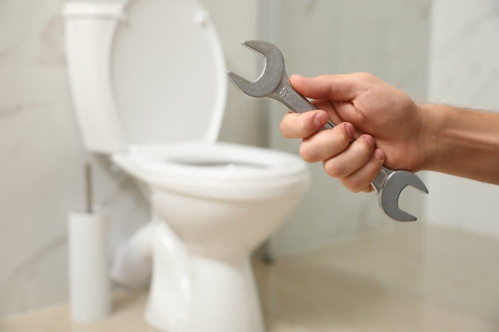 Toilet Maintenance Tips