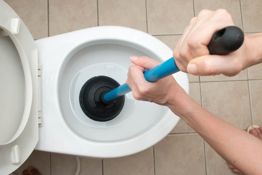 Clogged Toilet Repair Services