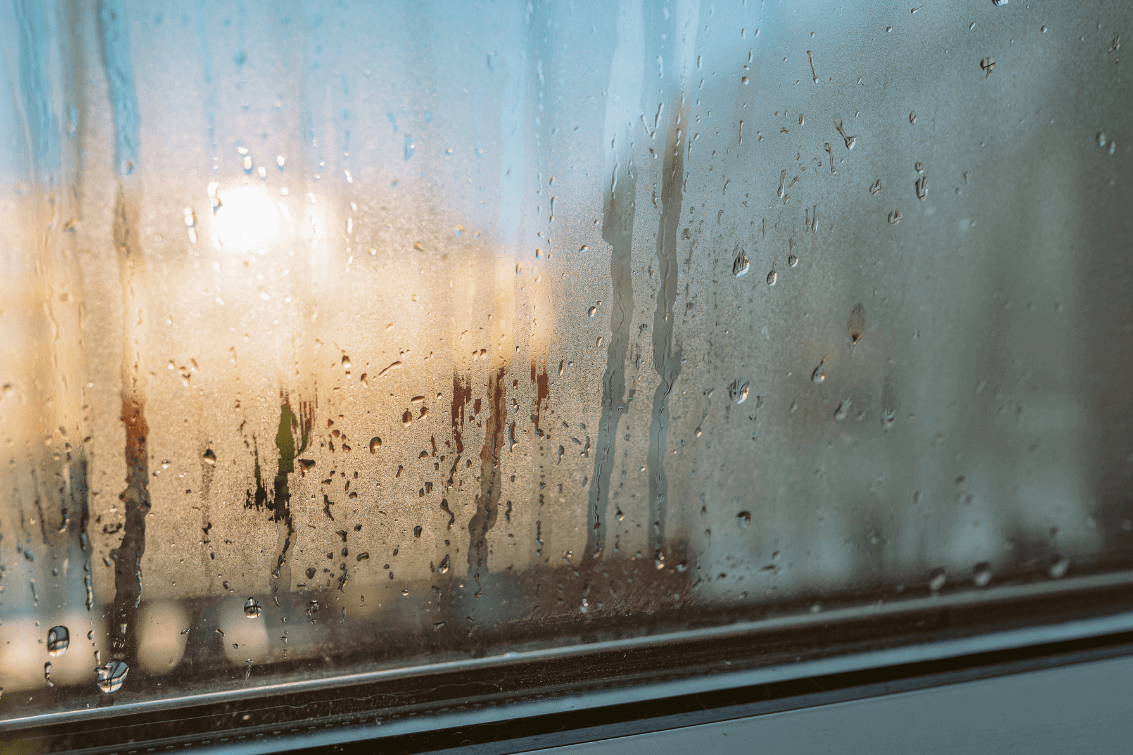 How to Combat High Humidity Levels this Summer