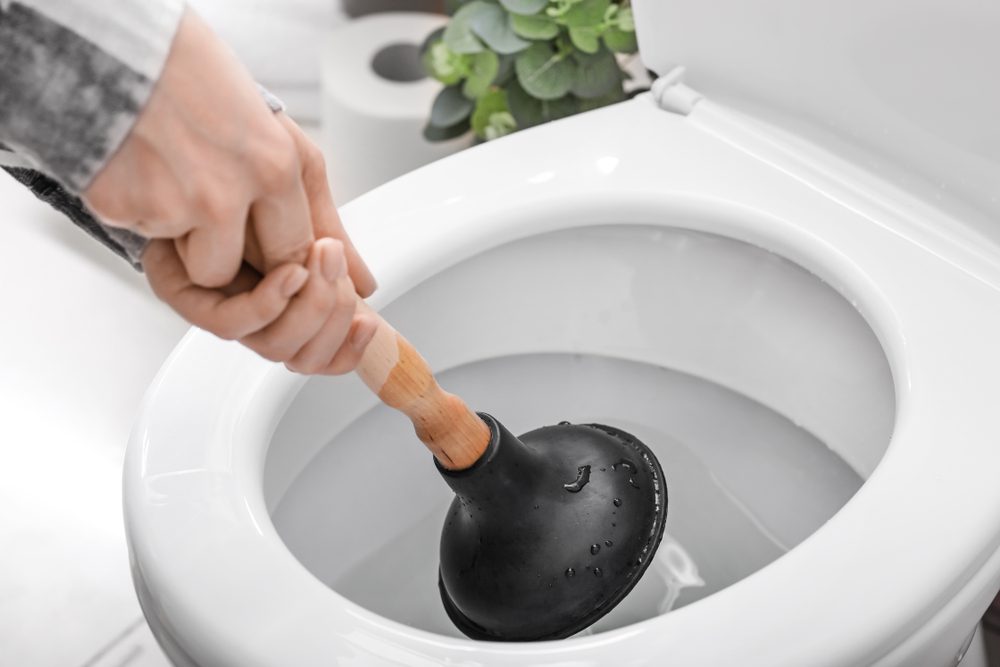 7 Common Reasons Why Your Toilet Not Flushing?