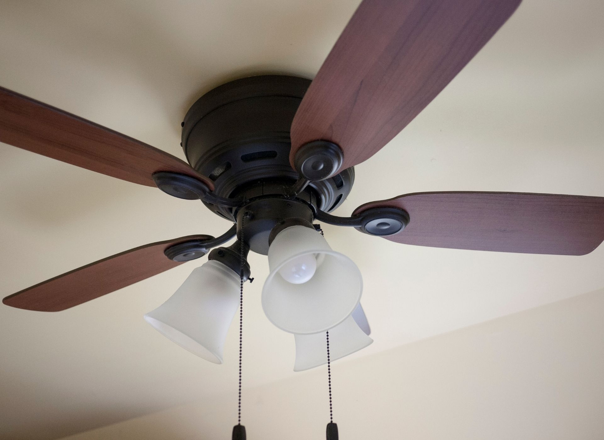 Do Ceiling Fans Help Cool Your Home?