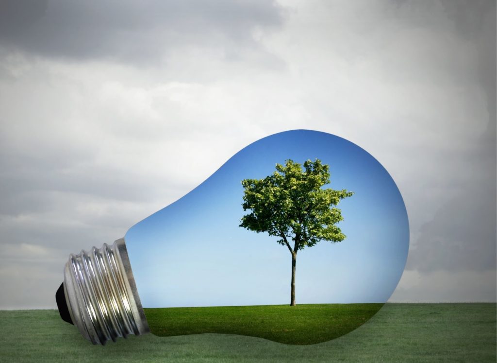 environmentally friendly light bulb