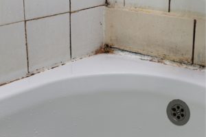 mold growing on bathroom tiles and grout