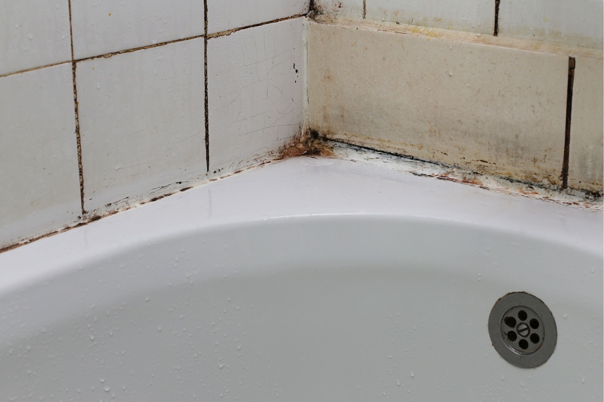 Causes of Bathroom Mold Growth