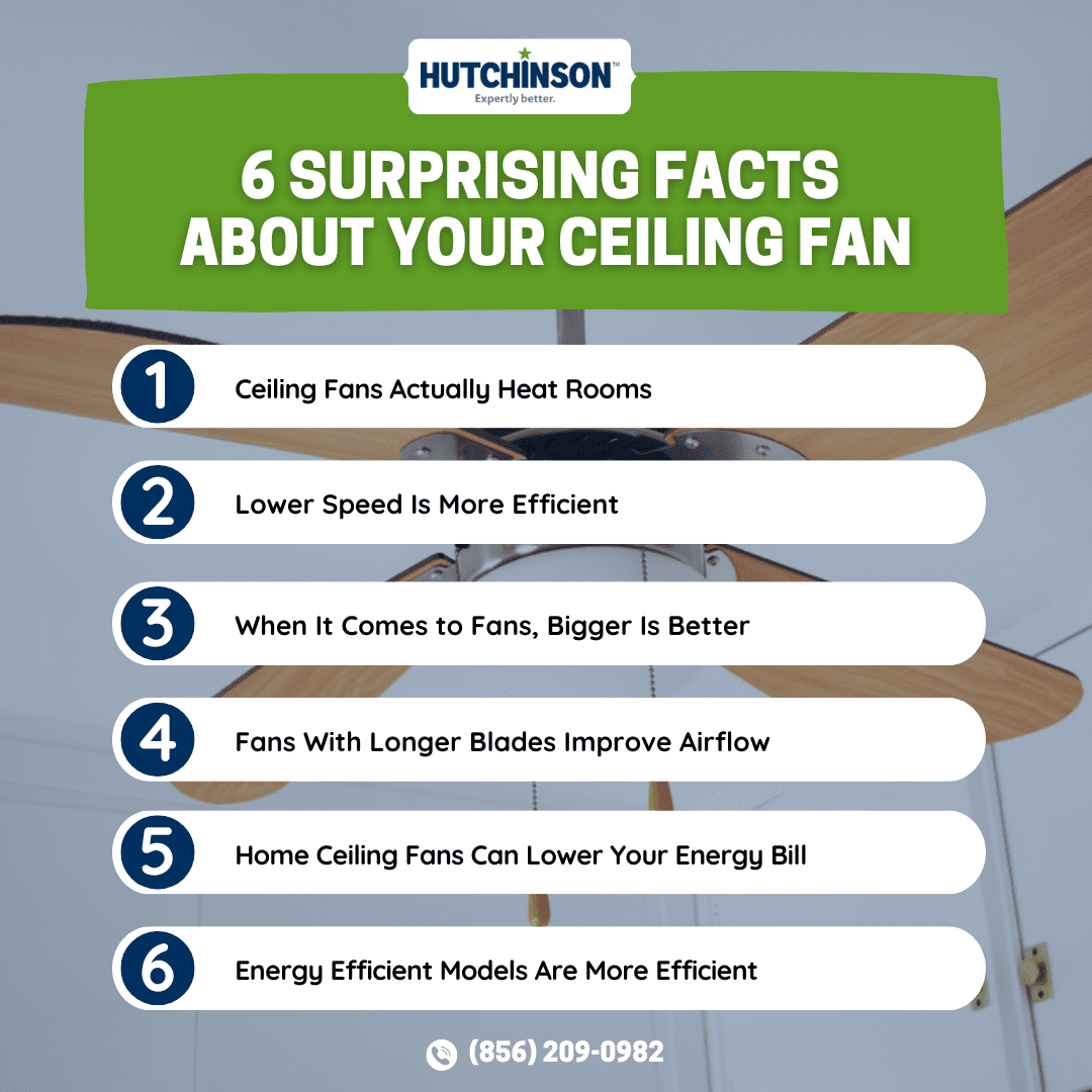 6 Surprising Facts About Your Ceiling Fan Infograph